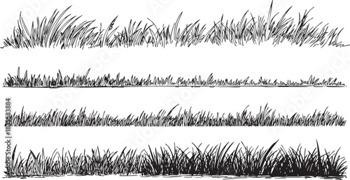 Black and white grass borders sketch set illustration design elements