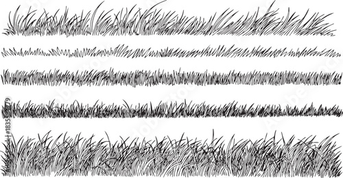 Black and white grass illustration vector set design elements isolated