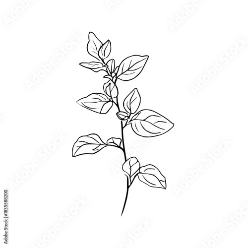 Versatile dark black background vector with generous blank copy space, ideal for professional graphic design, web elements, and modern commercial projects requiring a clean, deep aesthetic.