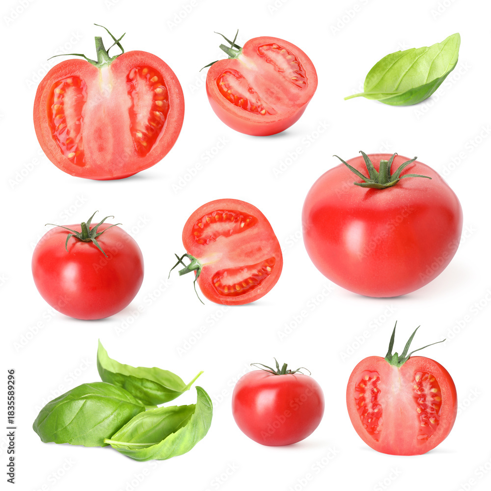 Fototapeta premium Fresh tomatoes and green basil leaves isolated on white, set