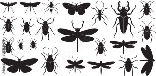 Collection of Insect Silhouettes Featuring Beetles Butterflies and Dragonflies on White