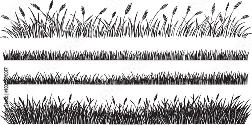 Hand drawn grass vector illustration set isolated on white background