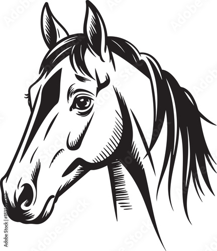Horse head vector illustration in black and white design style