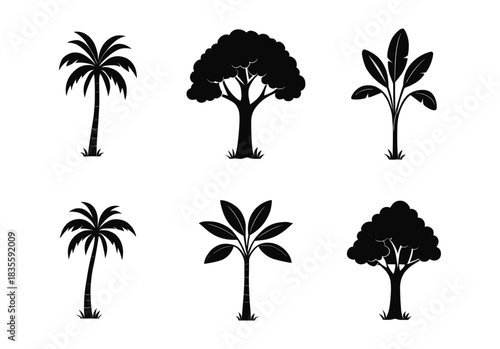 Set of tropical and forest tree silhouettes on transparent background