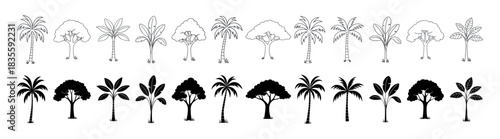 Tropical tree silhouette icon set with palm and forest shapes in vector style on transparent background