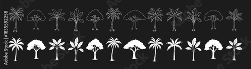 Tropical tree silhouette icon set with palm and forest shapes in vector style.