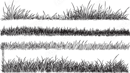 Variety of hand drawn grass borders and design elements set vector
