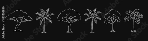 Tropical and palm tree chalk drawing set with handdrawn doodle style on black background