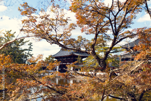 Todaiji Temple Reflections in Nara Park during Autumn Season, Japan