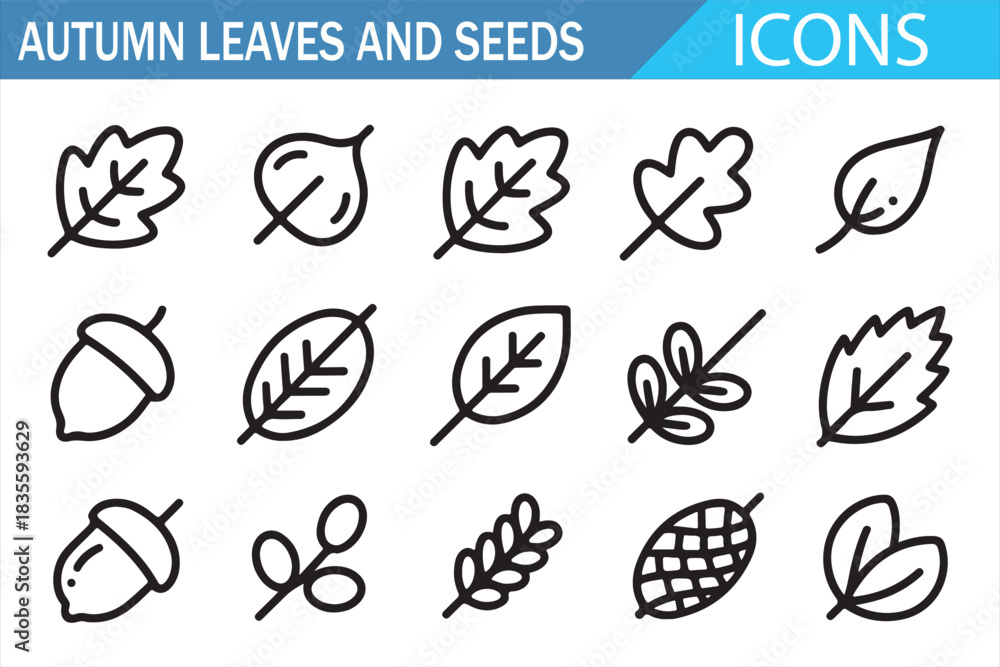 Fototapeta premium Botanical Autumn Leaf and Seed Outline Icons Collection