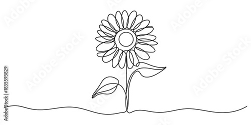 Continuous line drawing of a sunflower, a minimalist black outline illustration capturing the elegance and simplicity of nature's beauty Vector, illustration