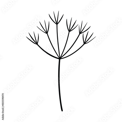 Minimalist dill herb line art showing a clean simple botanical stem and leaf illustration Vector illustration