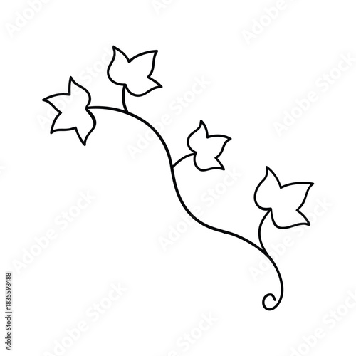 Minimalist ivy vine line art offering a simple botanical leaf and tendril illustration Vector illustration