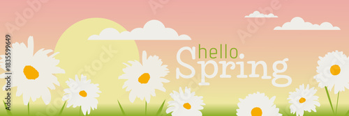 Hello spring Horizontal banner with daisies. Vector Template.