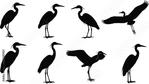 Technical Drawing of a Women's Cropped Hoodie Sweatshirt Vector Illustration, Front and Back Flat Sketch with Dropped Puff Sleeves for Fashion Apparel Design and Production,