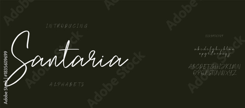 font Set. Lowercase and Uppercase included. Signs and. Elegant logo and fashion alphabet.