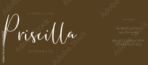 Lettering Minimalist Fashion. Elegant alphabet letters serif font and number. Typography fonts regular uppercase, lowercase.