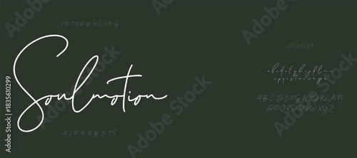 Elegant luxury organic display font vector