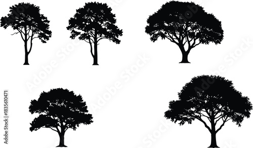 Black tree silhouettes with different shapes, foliage, branches, willow, palm, deciduous, natural forest elements, outdoor landscape design, abstract vector illustration artwork