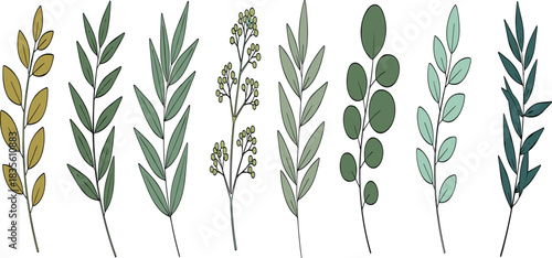 Botanical leaves, green foliage, hand drawn plants, nature illustration, herbal design, decorative branches, organic elements, floral pattern, eco friendly, natural