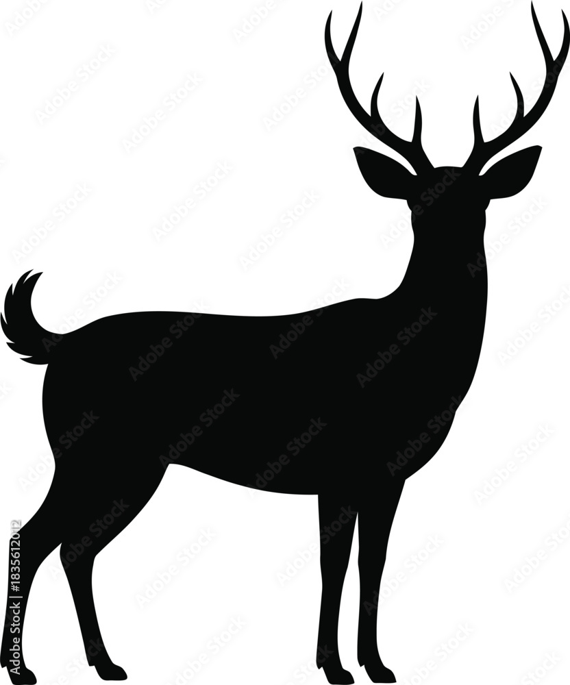 Obraz premium Elegant deer silhouette standing tall with antlers