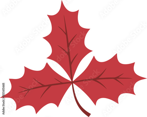 Red maple leaf illustration isolated on white background
