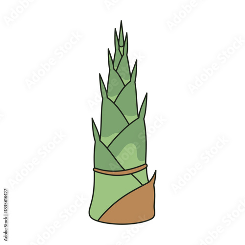 bamboo shoot vegetable vector illustration