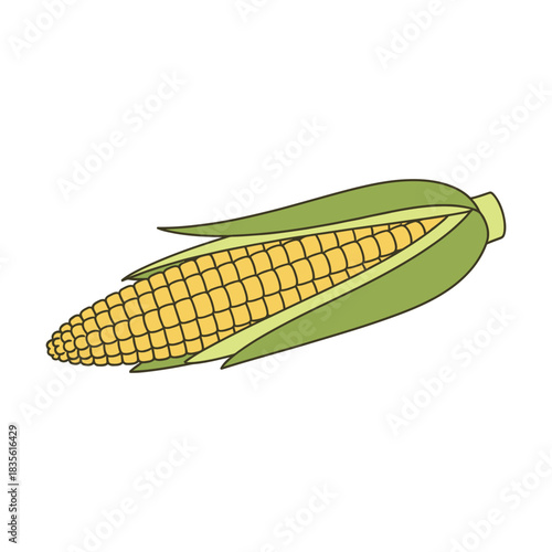 baby corn vector illustration