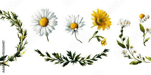 Delicate botanical illustration of wildflowers and greenery arranged in a border design