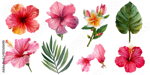 Vibrant watercolor collection of tropical hibiscus flowers and lush green leaves