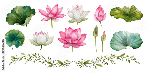 Watercolor collection of pink and white lotus flowers and green leaves with decorative garland