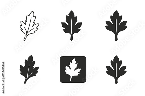 Passover Logos Grid. Passover Haggadah. Icon set. Set Logo of Passover Haggadah: Bitter Herb. harmonious logo variations of the same emblematic concept, each