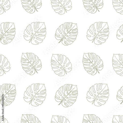 Minimalist tropical seamless pattern featuring hand-drawn Monstera deliciosa outline sketches.