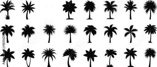 Stylized palm tree silhouette set featuring diverse frond shapes and trunk styles for tropical, design, and educational themes.