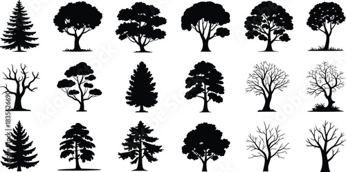 Stylized tree silhouette illustration set featuring diverse canopy shapes and branching structures for design, educational, and botanical themes.