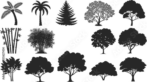 Stylized tree silhouette set featuring palm, coniferous, deciduous, bamboo, and bushy forms for design and educational themes.