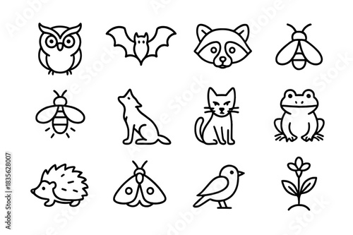 Nocturnal Icons Collection. Nocturnal Life. Line icon set of Nocturnal Life: owl, bat, raccoon, night insect, firefly, wolf, cat, frog, hedgehog, moth, night