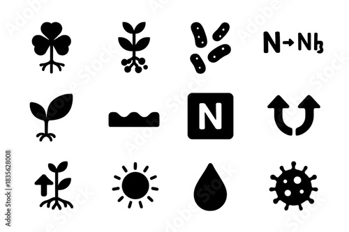 Nitrogen Fixation Icons. Nitrogen fixation. Solid icon set of Nitrogen fixation: clover plant, root nodules, bacteria icon, chemical reaction, leaf icon, soil