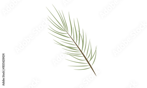 Minimalist illustration of a single green leaf on a white background