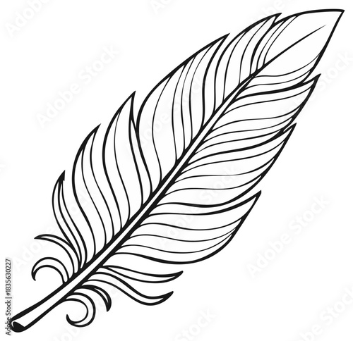 Detailed black and white illustration of a feather with intricate design and curved lines.