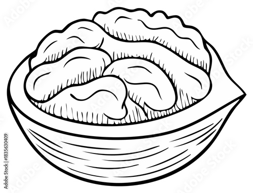 Outline drawing of a walnut cracked open displaying the healthy edible nut inside its shell