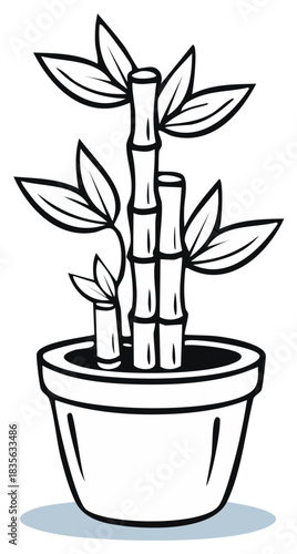 Potted lucky bamboo plant black and white line art illustration