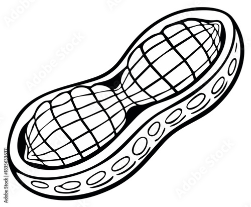 Graphic Illustration of a Peanut in Shell with Grid Pattern and Hollow Circles