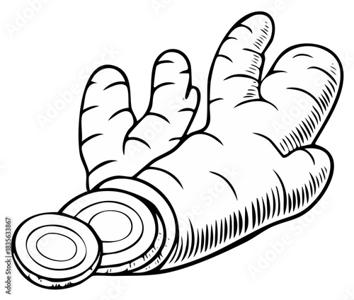 Ginger Root with Slices Black and White Line Drawing