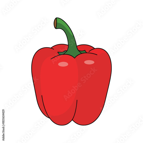 Red pepper vector illustration