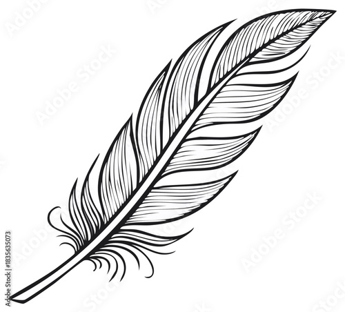 Detailed feather illustration with linear shading for artistic design or graphics.