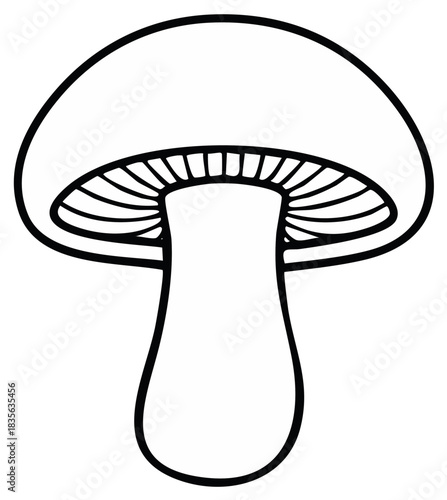 Black and White Mushroom Illustration