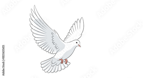 Graceful white dove or pigeon flying with its wings spread wide, a beautiful hand-drawn sketch symbolizing peace, hope, and freedom.