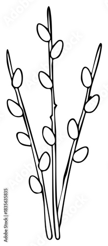 Hand drawn pussy willow branch bouquet. Simple black outline illustration for spring or Easter.