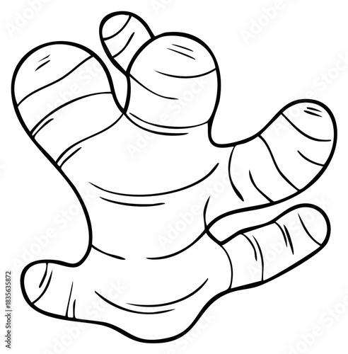 Whimsical Line Drawing of a Fresh Ginger Root with Multiple Knobs